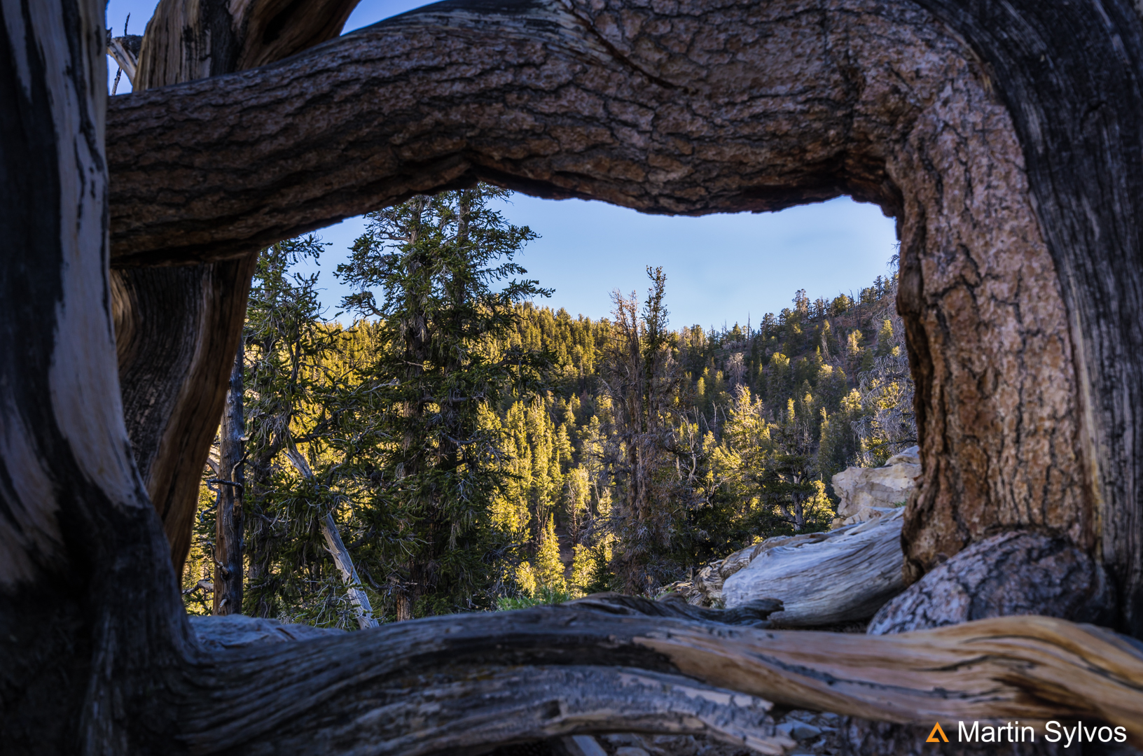 USA, California, Sheep mountain 1